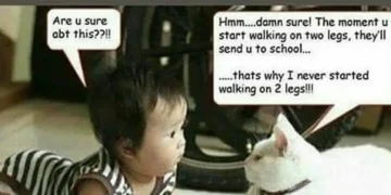 Cat advising a baby not to walk upright to avoid going to school meme.