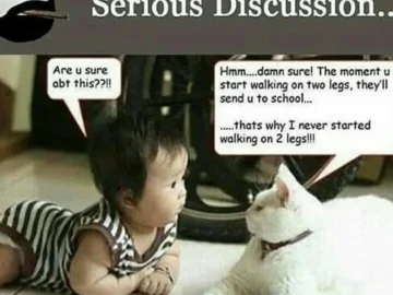 Cat advising a baby not to walk upright to avoid going to school meme.