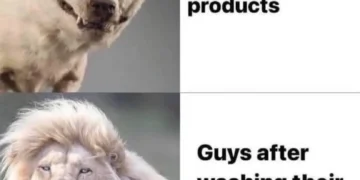 A two-panel meme contrasting women who spend $37,000 on hair products looking awkward with men who use a bar of soap looking like a majestic lion.