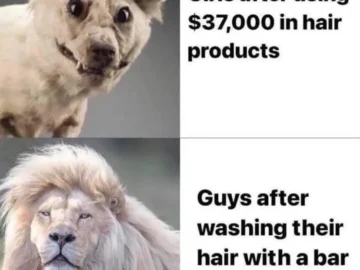 A two-panel meme contrasting women who spend $37,000 on hair products looking awkward with men who use a bar of soap looking like a majestic lion.