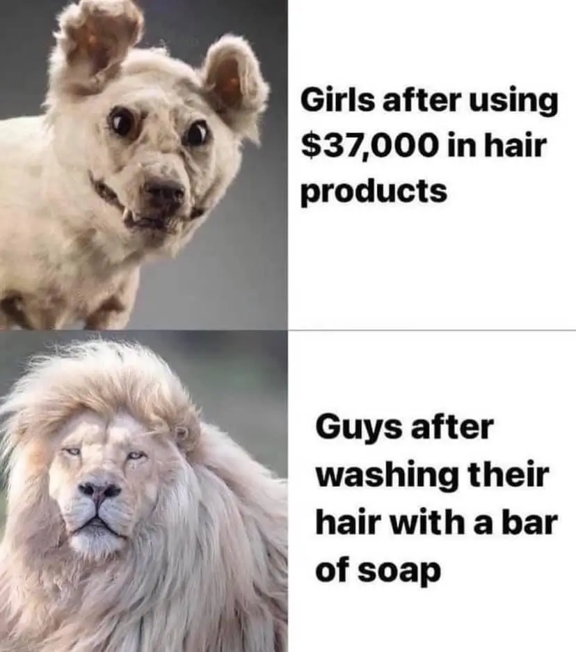 A two-panel meme contrasting women who spend $37,000 on hair products looking awkward with men who use a bar of soap looking like a majestic lion.