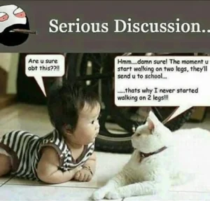Humorous meme titled "Serious Discussion" showing a white cat lying on the floor talking to a crawling baby. Cat: "The moment u start walking on two legs, they'll send u to school... thats why I never started walking on 2 legs!!!"
