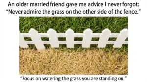Split image of lush green grass and dry brown grass separated by a white picket fence with the text: "Never admire the grass on the other side of the fence. Focus on watering the grass you are standing on."
