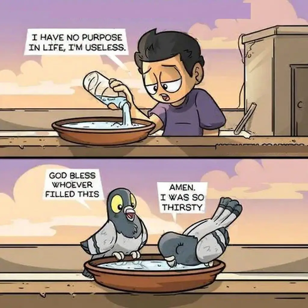 A two-panel comic where a man feeling useless pours water for pigeons, and the pigeons express gratitude for the water.