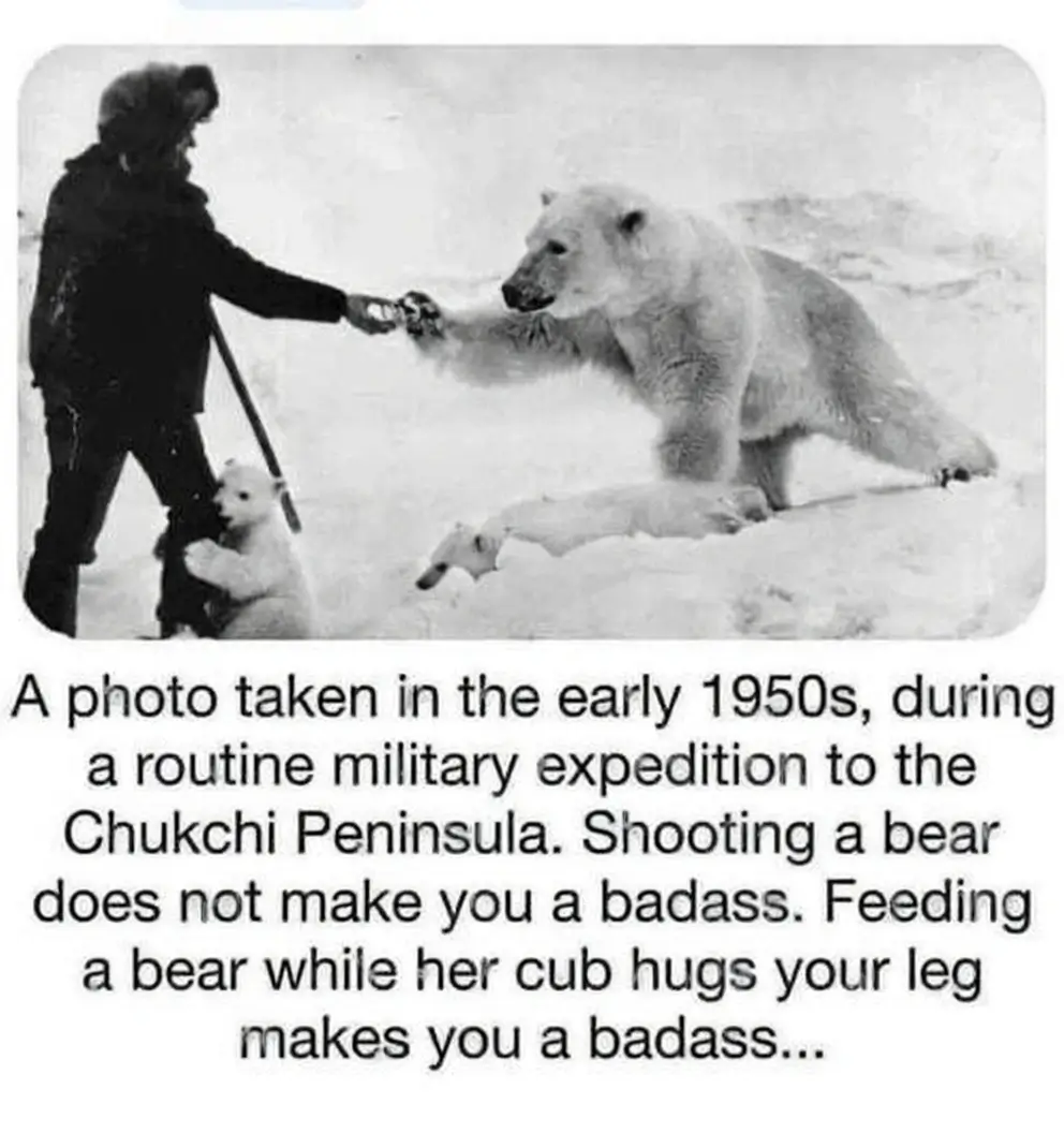 A vintage black and white photo of a 1950s Soviet soldier feeding a polar bear condensed milk while a cub hugs his leg.